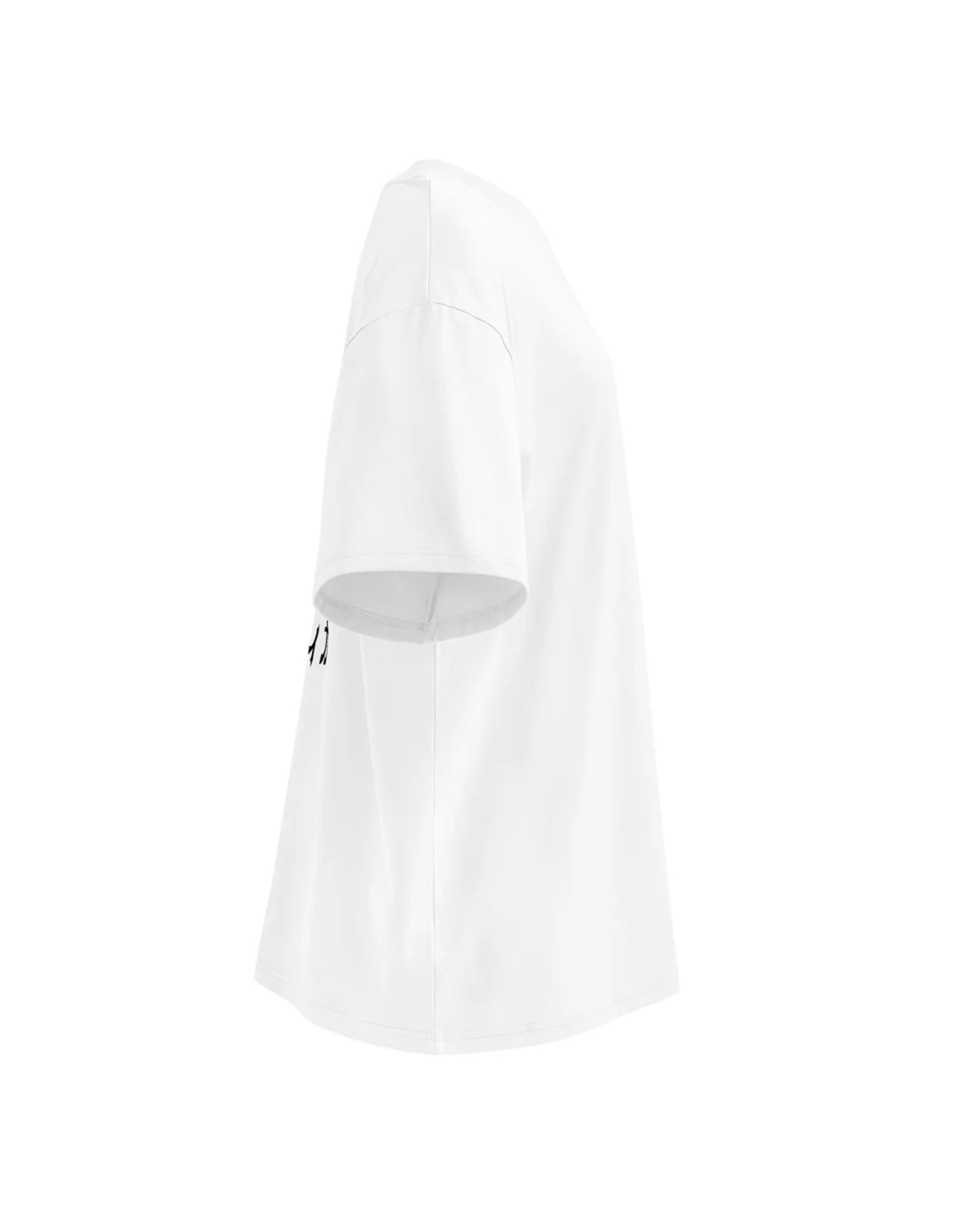 Oversized Fuji Tee