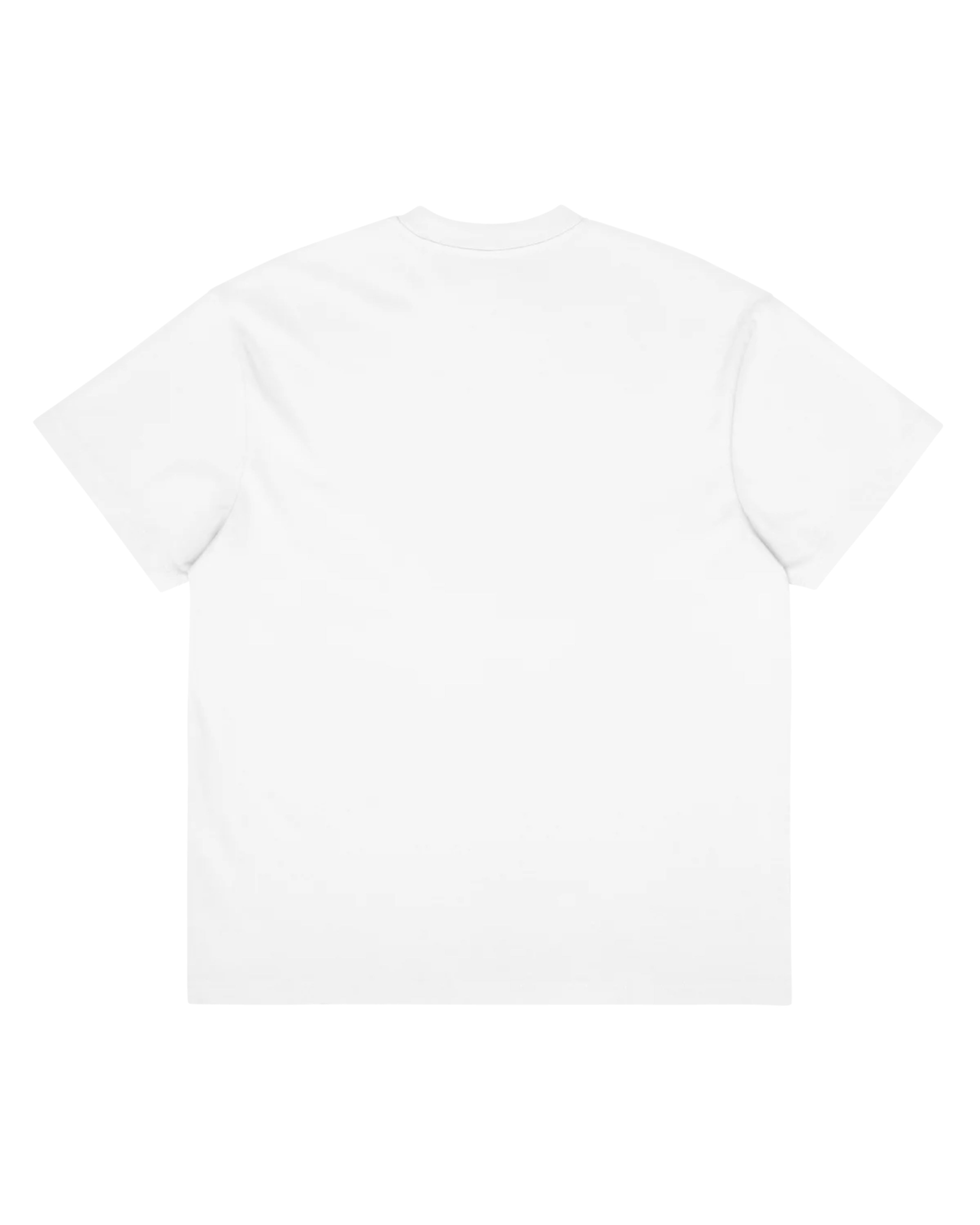 Premium Heavyweight Tee T055