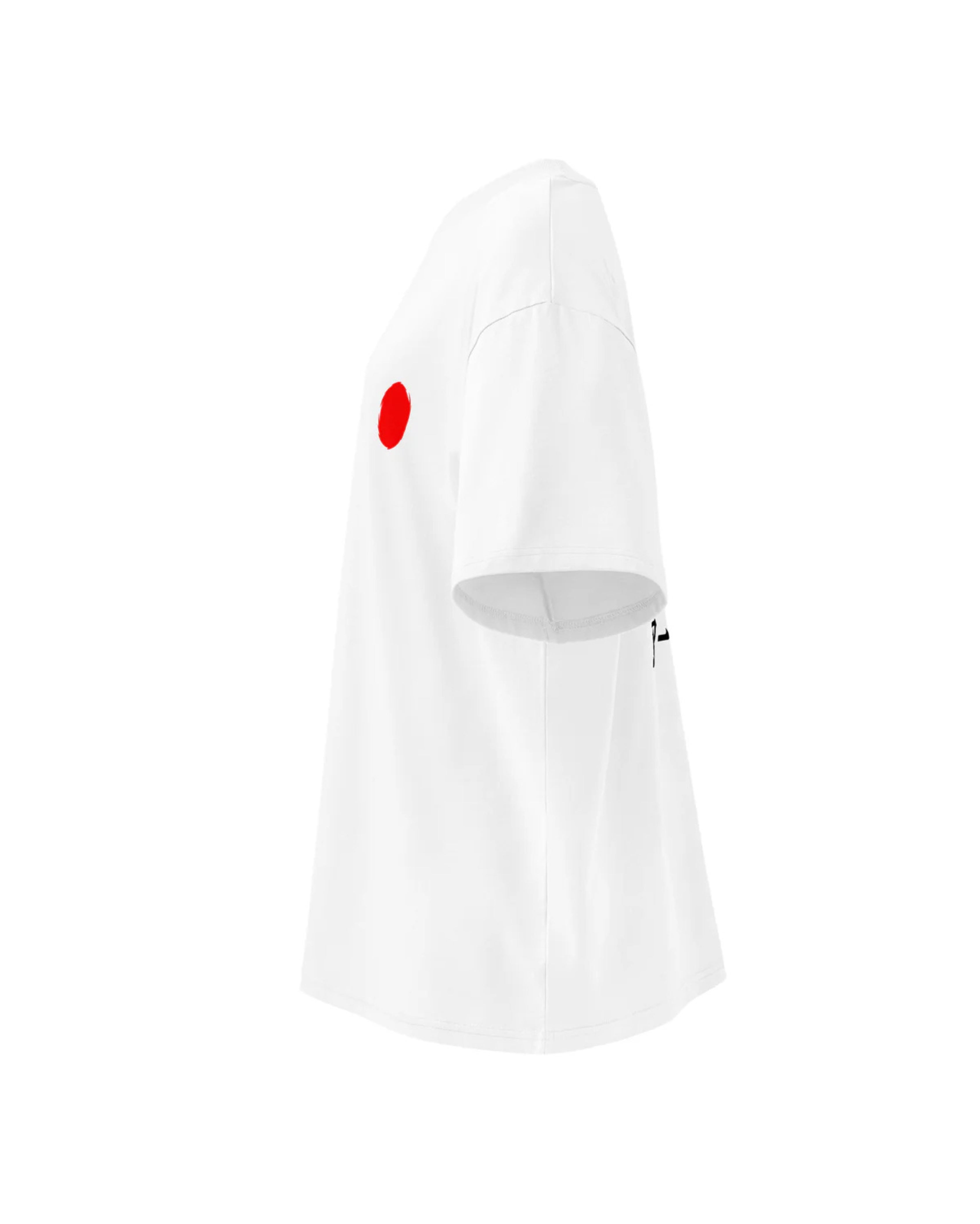 Oversized Fuji Tee
